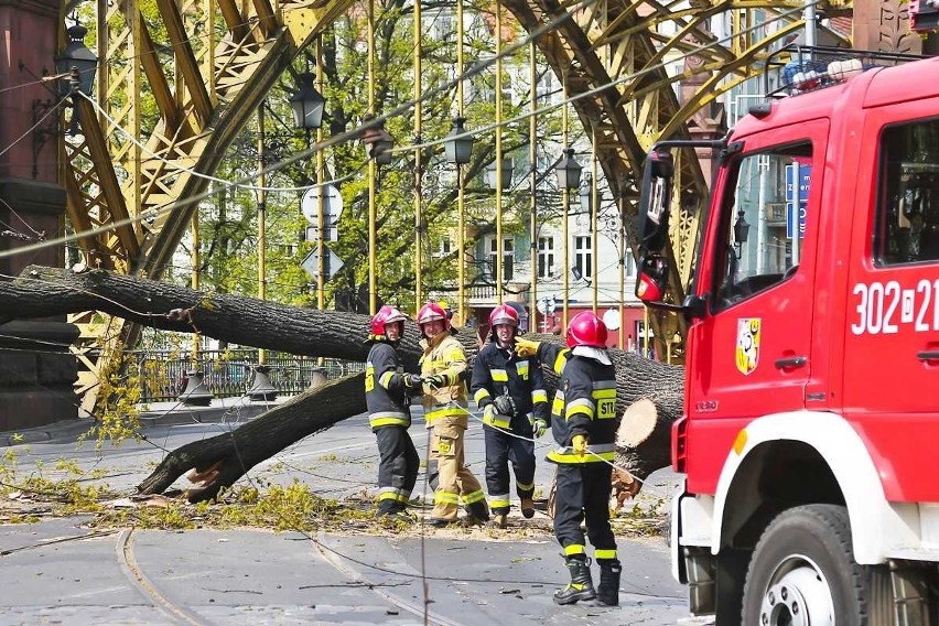 Wrocław: Potężne drzewo spadło na most Zwierzyniecki