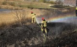 Wypalanie traw. Rozpoczął się sezon, tylko w sobotę 18 marca strażacy w Ostrołęce i powiecie interweniowali trzy razy. 18.03.2023