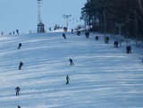 Na Jurze Krakowsko-Częstochowskiej, na granicy Śląska i Małopolski, jest stacja narciarska - Cisowa. Tu nie ma tłoku 27.02.2021