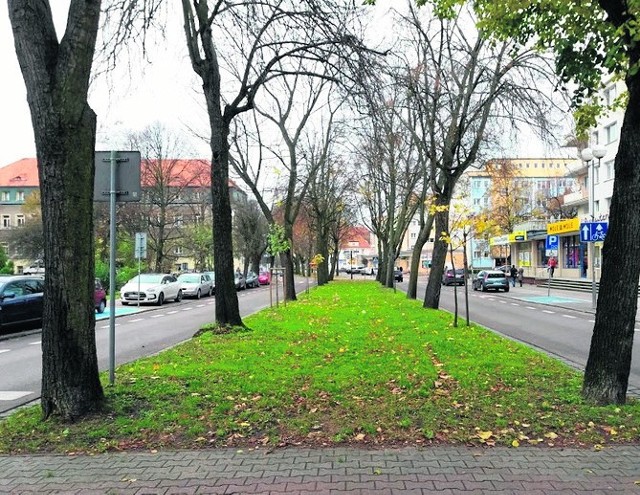 Wypięknieje zieleń rozdzielająca dwa pasy jezdni. Pojawią się nasadzenia krzewów i kwiatów oraz nowe barierki spowalniające