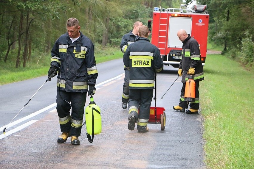 W usuwaniu plamy brało udział 30 strażaków