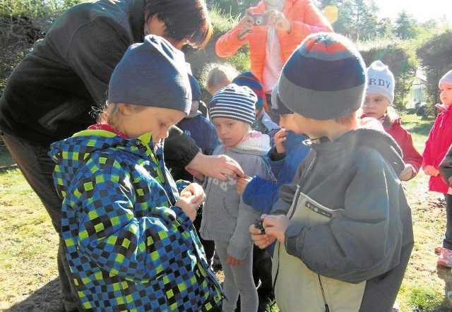 Przedszkolaki z Supraśla zbierały kasztany, żołędzie. Takie ciekawe zajęcia odbyły się w ramach projektu „Leśne Ludki”.