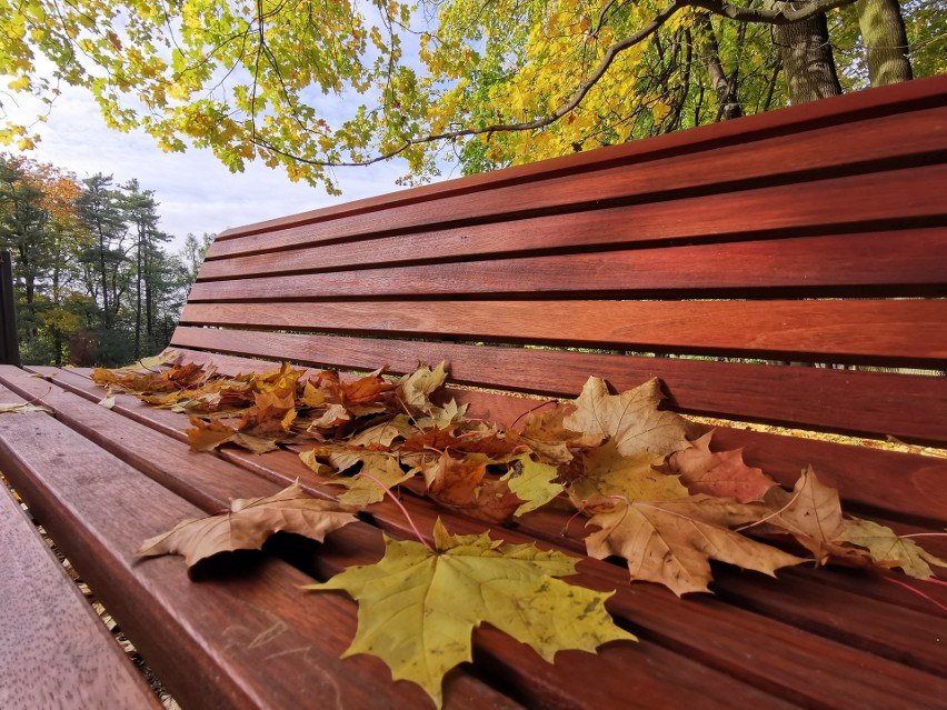 Park w Kościelcu w Chrzanowie