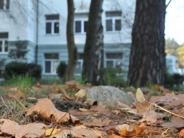 Łożysko płodowe, które rankiem we wtorek znaleziono w parku na terenie Szpitala Miejskiego w Bydgoszczy, jest ludzkie!