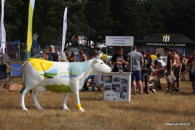 Taką krowę można wylicytować na aukcjach internetowych. Jej figura stała w zeszłym roku na woodstockowym polu.