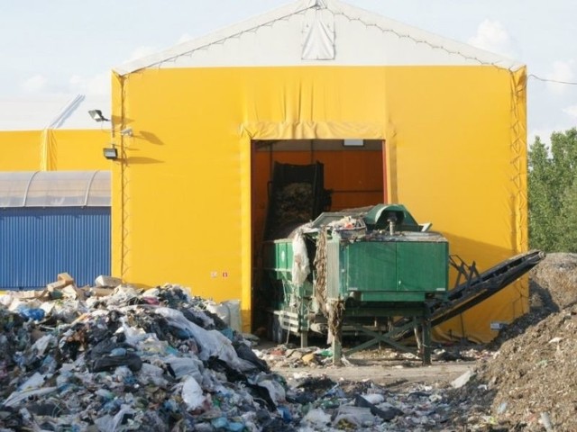 na wysypisku śmieci w miejscowości Karcze