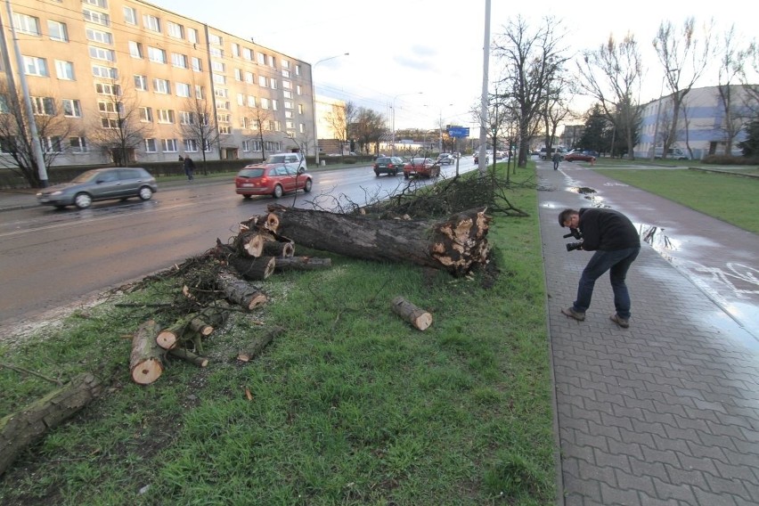 Wichura na Dolnym Śląsku. Jest śmiertelna ofiara wiatru (WASZE ZDJĘCIA)