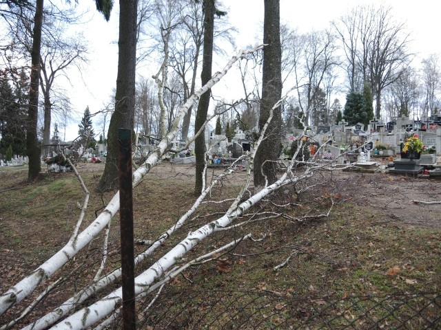 Drzewo spadło na cmentarne ogrodzenie w Miastku.