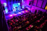 Festiwal Metropolia Jest Okey 2017. Koncert Dick4Dick w Radio Gdańsk [ZDJĘCIA]
