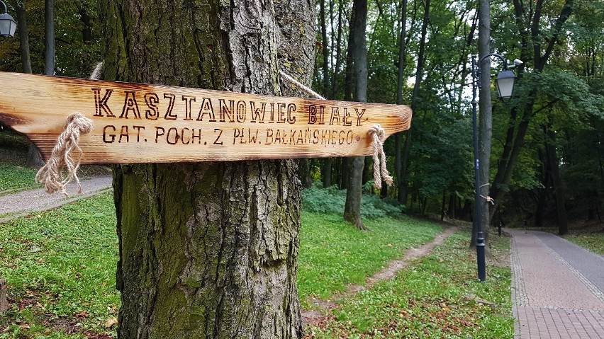 W obrębie Sandomierskiego Parku „Piszczele” powstała "Ścieżka przyrodniczo - edukacyjna"