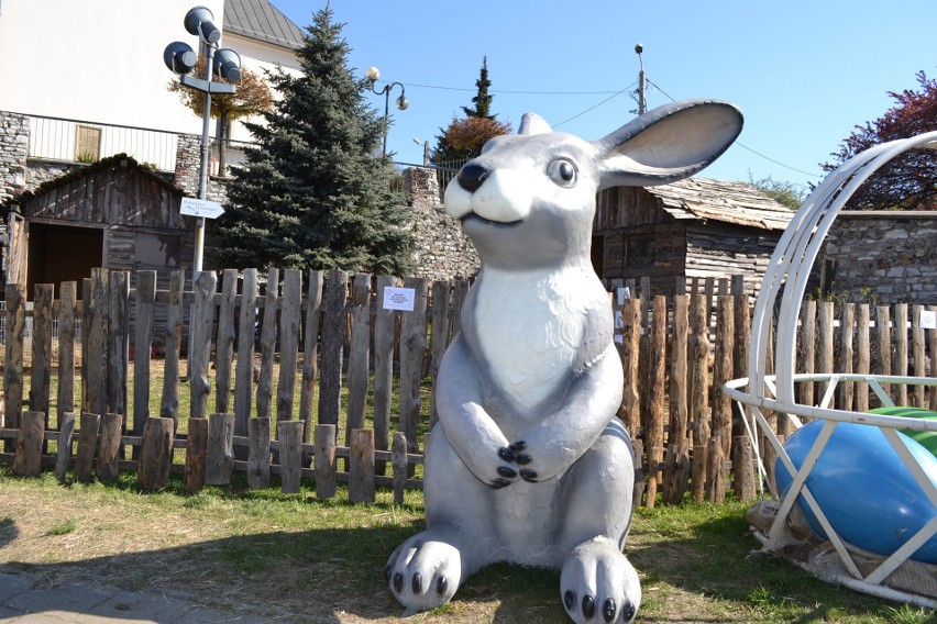 Zwierzaki na wzgórzu zamkowym można oglądać zupełnie za...