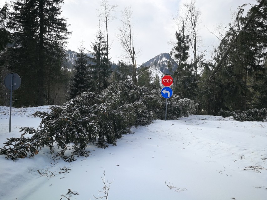 Tatry. Dojazd do Morskiego Oka zawalony połamanymi drzewami [ZDJĘCIA]