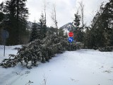 Tatry. Dojazd do Morskiego Oka zawalony połamanymi drzewami [ZDJĘCIA]