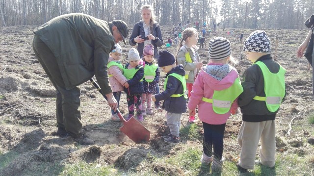 W Słupsku na terenie Lasku Południowego sadzono nowe drzewa. Była to akcja "Las pokoleń". Inicjatorami tego przedsięwzięcia było Nadleśnictwo Leśny Dwór oraz Fundacja Wspierania Inicjatyw Niekonwencjonalnych „Sun ventum”. Nazwa akcji zobowiązywała, zatem do sadzenia lasu stawili się przedszkolaki, uczniowie szkół podstawowych i ponadpodstawowych, studenci i dorośli. W sumie posadzono sadzonki drzew na terenie o powierzchni 3,5 hektara. Organizatorzy akcji zadbali nie tylko o sadzonki i narzędzia do ich sadzenia, ale także o coś dla ciała. Były zatem kanapki, ciasto i herbata. Zorganizowano też gry przyrodnicze i edukacyjne.