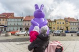 Stary Browar w Poznaniu: Zając-gigant pojawił się w Grodzisku Wielkopolskim