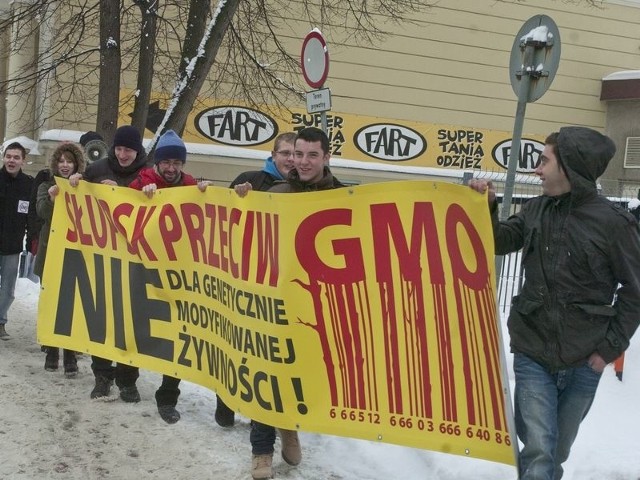 Uczestnicy wczorajszego Słupskiego Dnia Przeciwko GMO przemaszerowali sprzed siedziby SIPH pod ratusz. Skandowali po drodze hasła anty- -GMO.