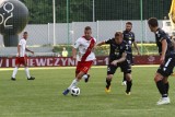 Fortuna 1. Liga. Przychody klubów wyniosły w 2017 roku prawie 107 mln zł. Najwięcej zarobił GKS Katowice