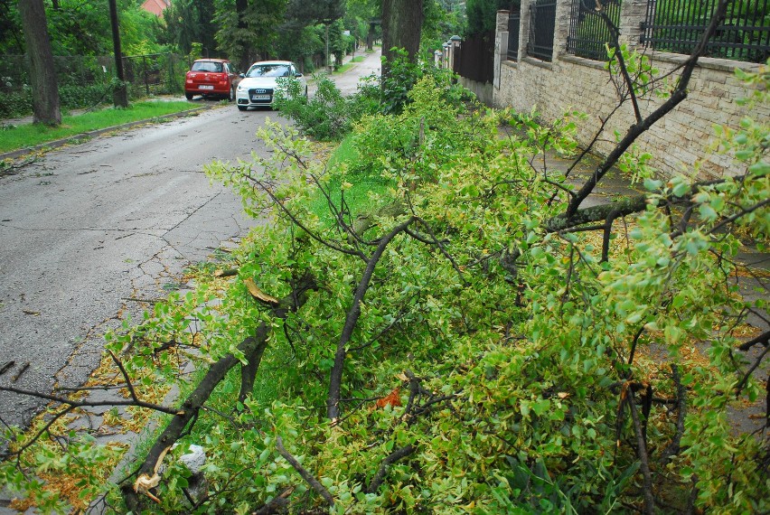 Burza w Krakowie. Zerwane trakcje, połamane drzewa [NOWE ZDJĘCIA]