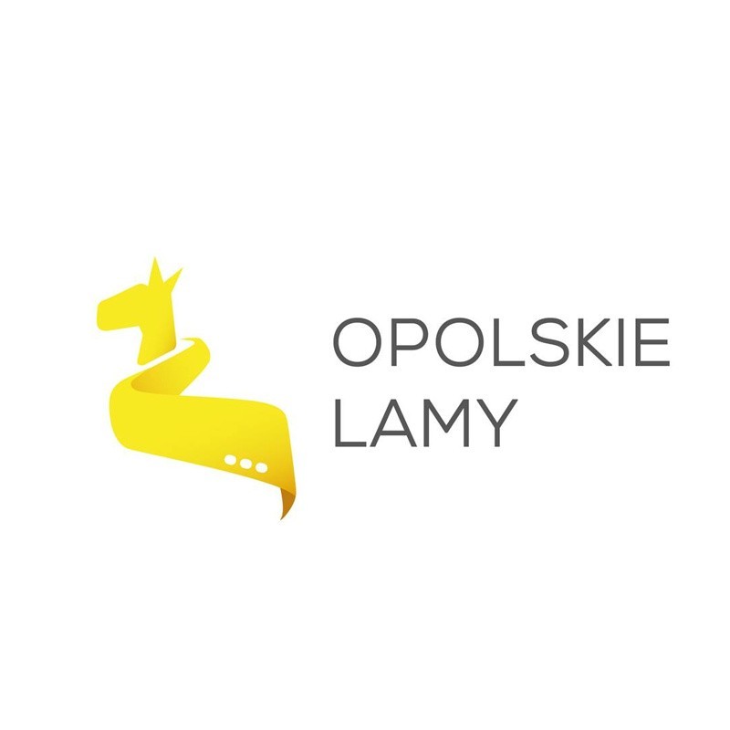 Festiwal Filmowy Opolskie Lamy potrwa do 12 października.