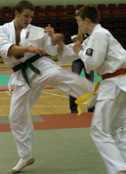 Karate Kyokushin...