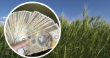 Połowa podlaskich rolników jeszcze czeka na dopłaty