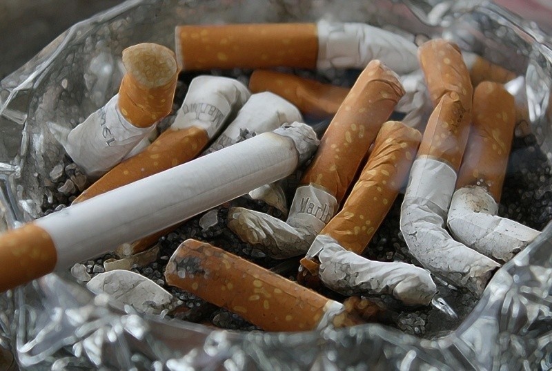 – Obserwujemy, że część młodzieży jest paleniu przeciwna i...