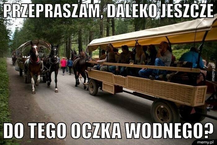 Na wakacje w góry? Szykujcie się na srogie ceny, tłumy nad...