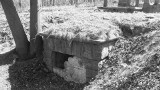 Tajemniczy grobowiec ukryty w Jarnatowie. Widać go z kosmosu. Jego wnętrze wypełniają trumny [ZDJĘCIA]