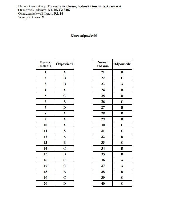 Egzamin zawodowy 2019 - część pisemna. Arkusze, klucz...