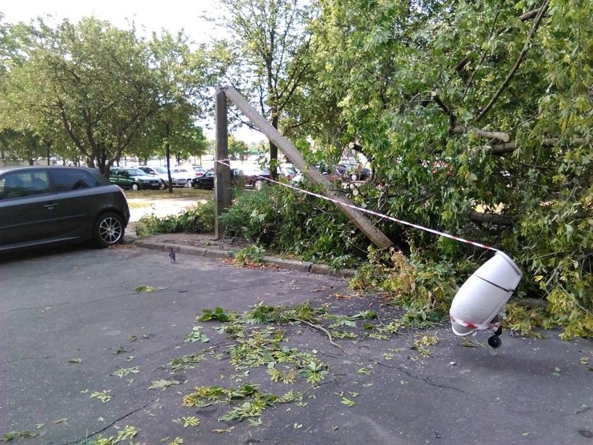 Wielkopolska liczy straty po nawałnicy