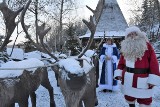 Święty Mikołaj i Śnieżynka zapraszają do bajecznej wioski w Bałtowie [WIDEO, ZDJĘCIA]