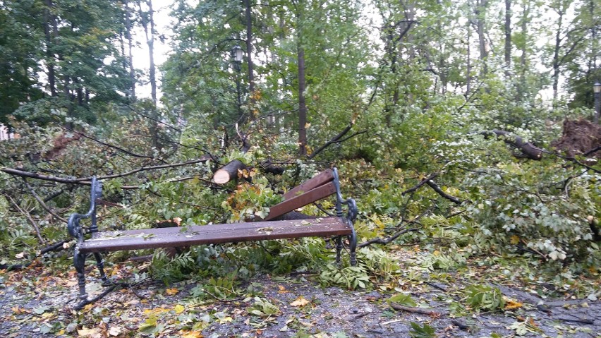 Park żywiecki został zniszczony przez orkan Ksawery nawet w...