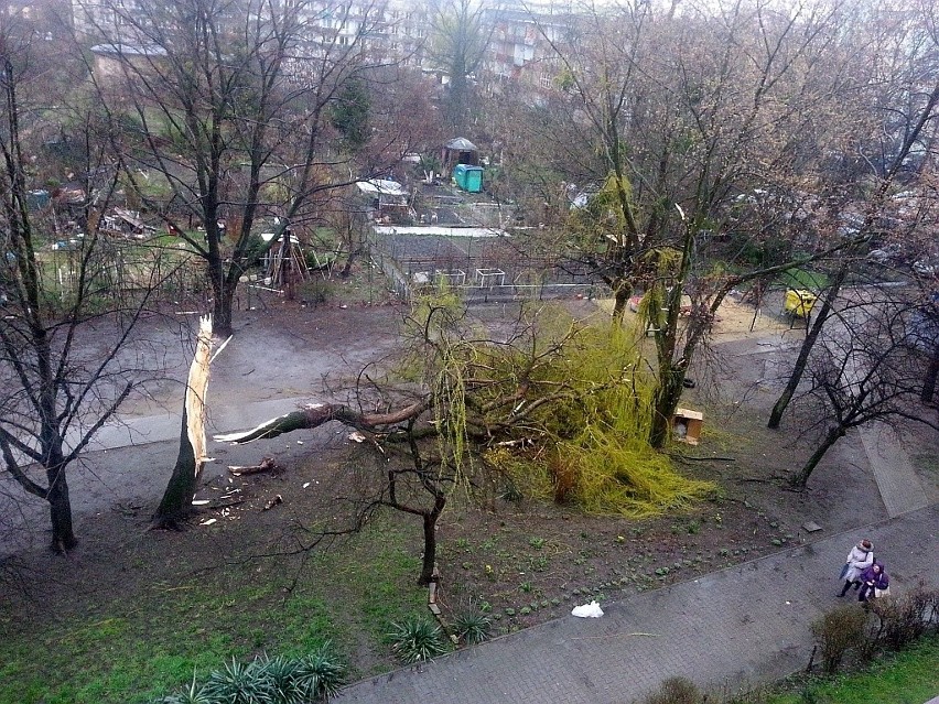 Wichura na Dolnym Śląsku. Jest śmiertelna ofiara wiatru (WASZE ZDJĘCIA)