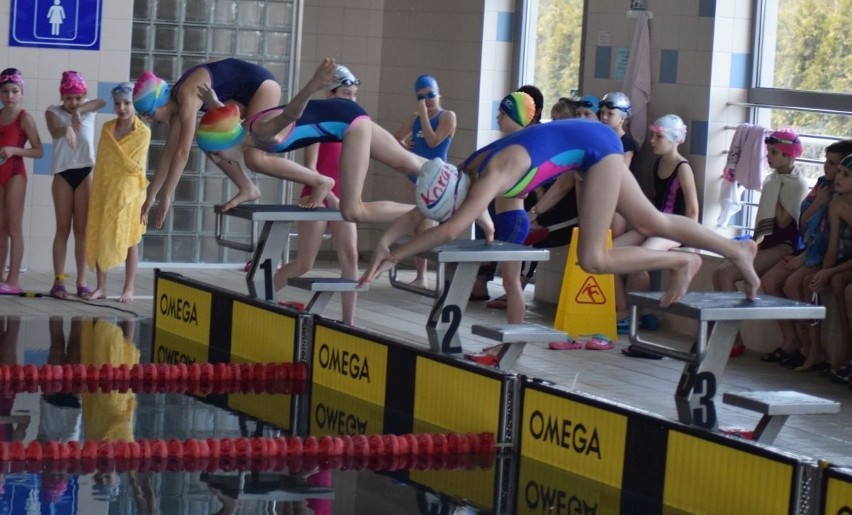 Międzynarodowe Zawody Pływackie na włoszczowskim basenie Nemo po raz pierwszy. Na starcie ponad 140 zawodników (ZDJĘCIA)
