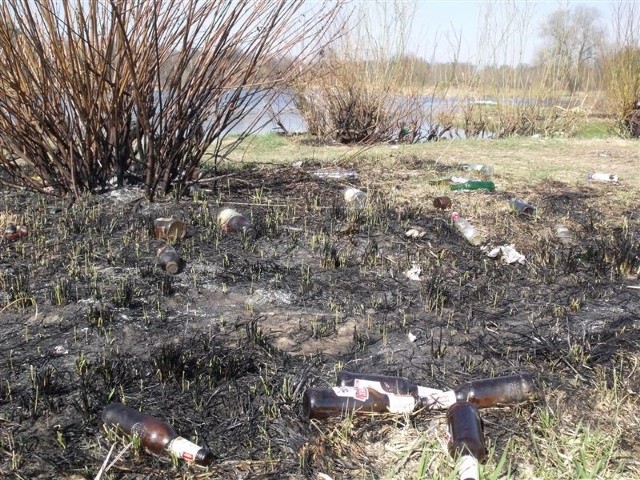 Polanka i ścieżka nad Narwią straszy śladami po pijatykach