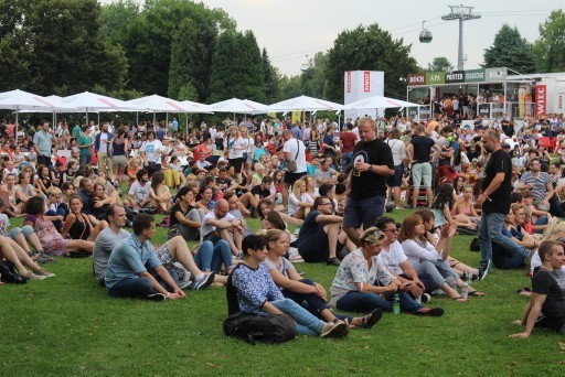 Męskie Granie 2015 w Chorzowie ZDJĘCIA: Hey, Artur Rojek i...