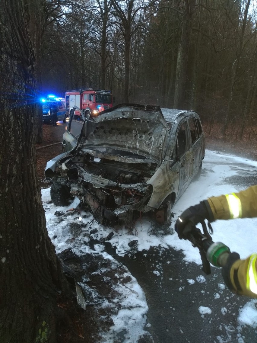 Samochód uderzył w drzewo i stanął w płomieniach. Wypadek pod Łobzem [WIDEO]