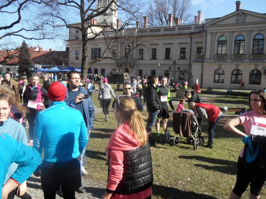 Bieg Polki dla Polki w Żywcu. Promowali profilaktykę badań i zbierali pieniądze [ZDJĘCIA+WIDEO] 