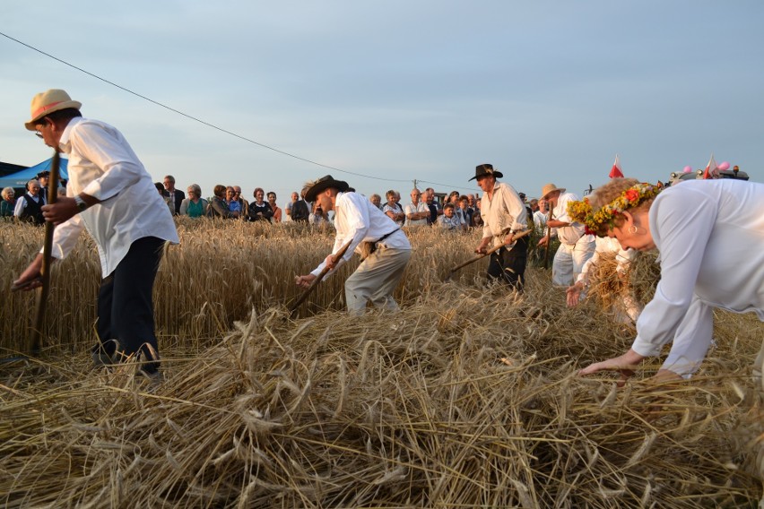 Pokaz dawnych prac polowych uzmysłowił jak wiele zmieniło...