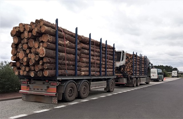 Ciężarówka ze znacznym nadmiarem przewożonych kłód drewna, zatrzymana do kontroli przez patrol wielkopolskiej Inspekcji Transportu Drogowego na obwodnicy Poznania.
