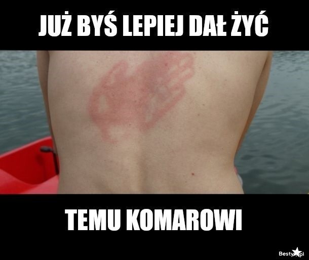 Memy o komarach. Te małe hultaje doprowadzają nas do szału. Zobacz, jak internet reaguje na plagę komarów [15.07.2021]