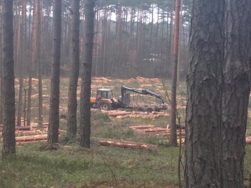 Mieszkańcy Kokotka zbierają podpisy pod petycją w sprawie...