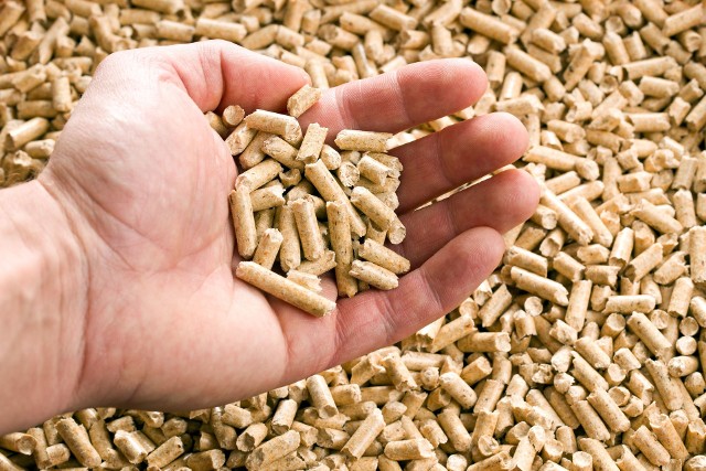 Pelet nazywany również pelletem jest nowoczesnym, ekologicznym paliwemPelet (pellet) produkuje się z odpadów drzewnych. Wykorzystuje się w tym celu trociny, wióry, zrzyny, słomę zbóż, słomę rzepaku oraz rośliny energetyczne. Odpady drzewne poddaje się działaniu pras o bardzo dużym ciśnieniu zgniatania. Dzięki występującym w drewnie naturalnym lepiszczom, po sprasowaniu półproduktów powstaje granulat – stałe paliwo o wysokiej kaloryczności i łatwe w użyciu. Do produkcji pelletu wykorzystuje się zarówno drewno z drzew liściastych, jak i iglastych. Pierwsze mają większą wartość opałową, a drugie zawierają więcej ligniny, która jest podstawowym lepiszczem peletu. Wysokiej jakości granulat powstaje dzięki odpowiednim proporcjom drewnianych odpadów obu gatunków drzew.