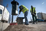 Wielkie sprzątanie po zimie w Bydgoszczy ma rozpocząć od 14 marca i kosztować ponad 660 tysięcy zł