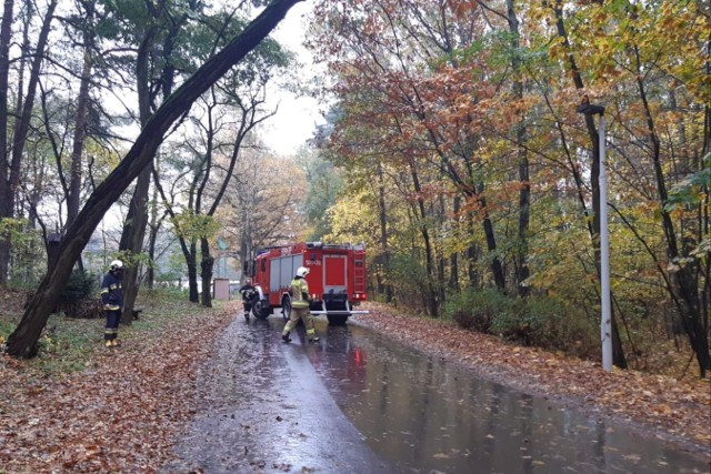 Strażacy usunęli zagrażające bezpieczeństwu pochylone drzewo przy ul. Sportowej w Koszęcinie.
