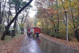 Strażacy usunęli zagrażające bezpieczeństwu pochylone drzewo przy ul. Sportowej w Koszęcinie 