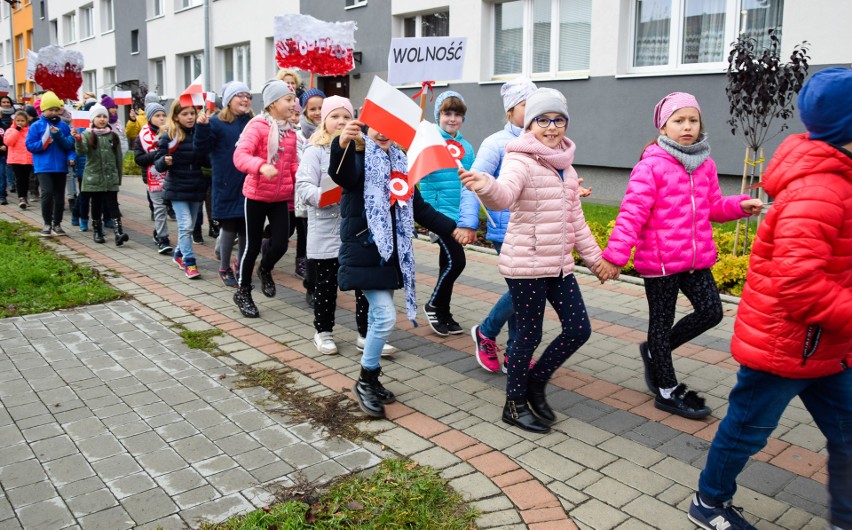 Marsz dla Niepodległej w Tarnobrzegu. Uczniowie manifestowali patriotyzm [ZDJĘCIA]