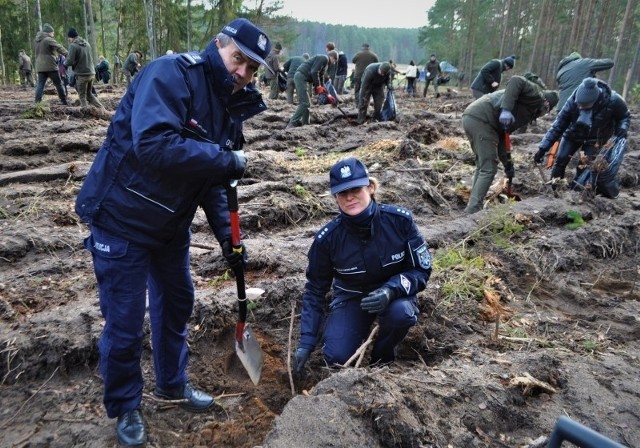 Inspektor Andrzej Borzyszkowski z policjantami bytowskiej komendy w piątek wziął udział w akcji charytatywnej organizowanej przez Nadleśnictwo Bytów.