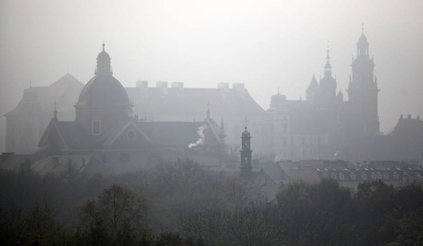Smog w Krakowie. 11 listopada darmowa komunikacja miejska