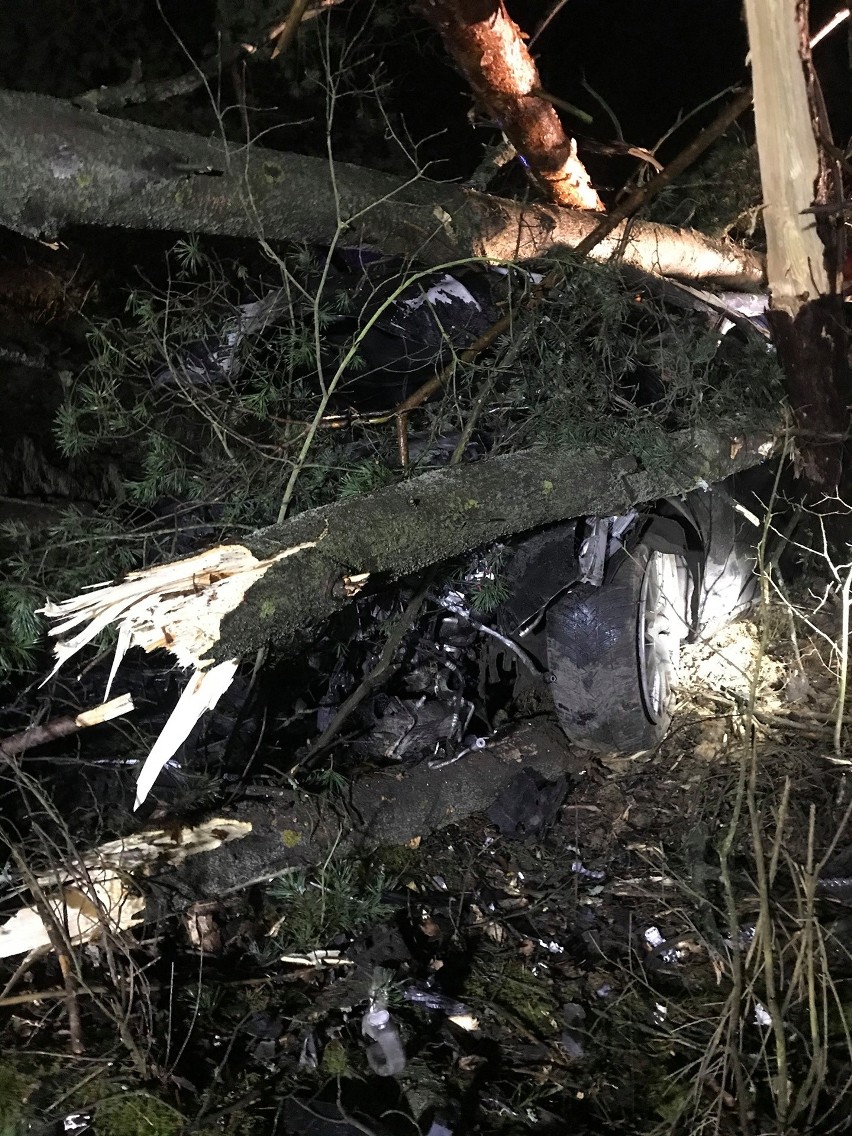 Wyszyna Fałkowska. Wypadek na krajowej drodze. Audi dosłownie wbiło się w las i ścięło kilka drzew. A kierowca zniknął... [ZDJĘCIA]